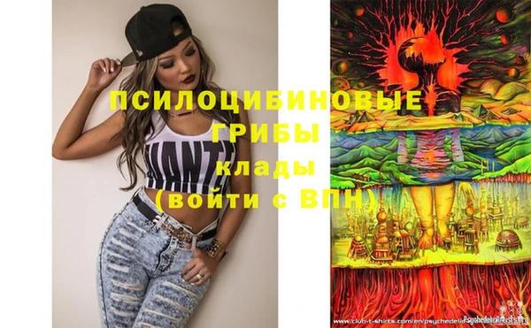 МДПВ Абинск
