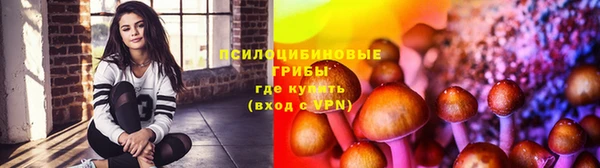 МДПВ Абинск