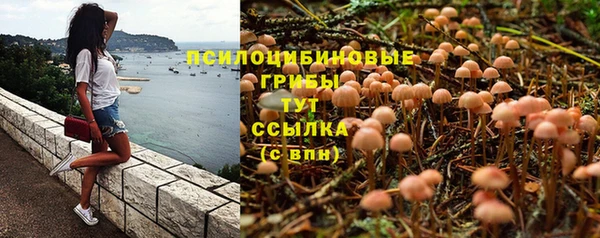 МДПВ Абинск