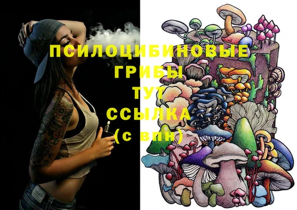 МДПВ Абинск