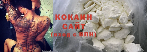 твердый Абаза