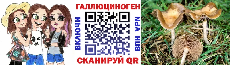 мега рабочий сайт  где купить наркоту  Алдан  Псилоцибиновые грибы ЛСД 