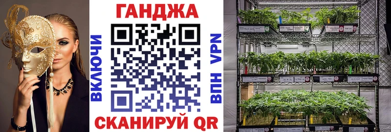 купить наркотики цена  Алдан  Шишки марихуана индика 